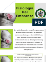 Fisiología Del Embarazo