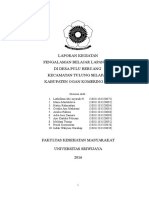 LAPORAN PBL 2016 Desa Pulu Beruang 