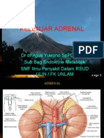 Symptoms, Causes and Tests for Adrenal Diseases