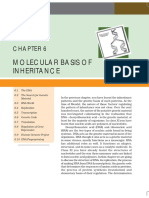 06Molecular Basis of Inhertance.pdf