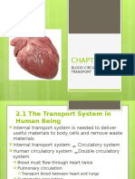 Blood Circulation and Transport