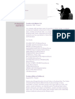Sinisa Prvanov CV PDF