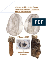 Origin and types of silica in the Lower Eocene Carbonates of the Rus Formation, Qatar, Middle-East