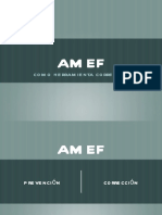 presentaciu00f3n-amef.pdf