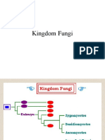 Kingdom Fungi.pptx