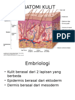 Anatomi Kulit