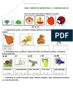 Evaluare Sumativă CLR