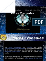 Pares Craneales2