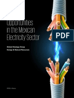 Opportunities in the Mexican Electricity Sector