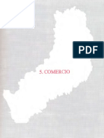 Los Municipios de La Provincia de Misiones 1991_Comercio