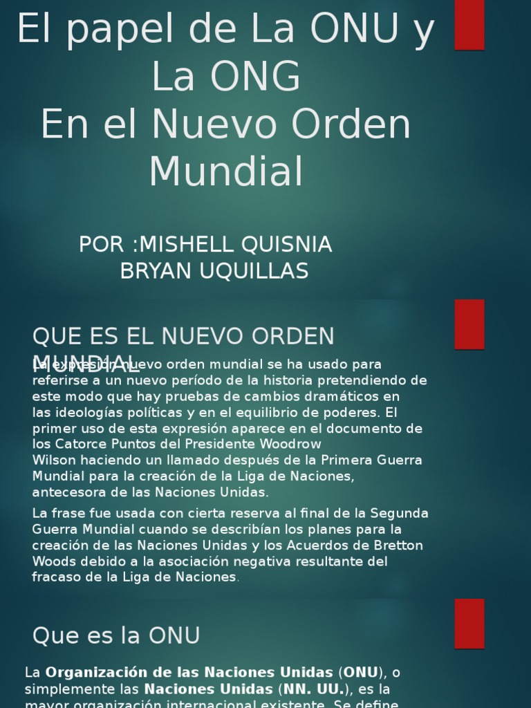 El Papel de La ONU y La ONG | PDF | Naciones Unidas | Relaciones ...