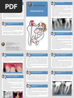 folheto-omd-endodontia.pdf