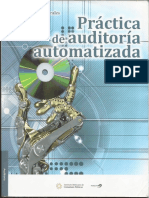 Practica de Auditoria Automatizada PDF