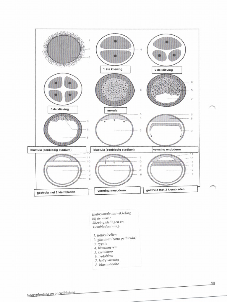 Bio SS | PDF
