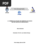 Dissertacao Bruno.pdf