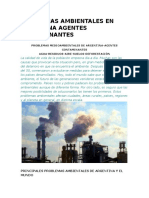 Problemas Ambientales en Argentina Agentes Contaminantes