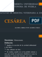 CESÁREA