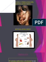  Anatomia y Fisiologia  Sistema Endocrino