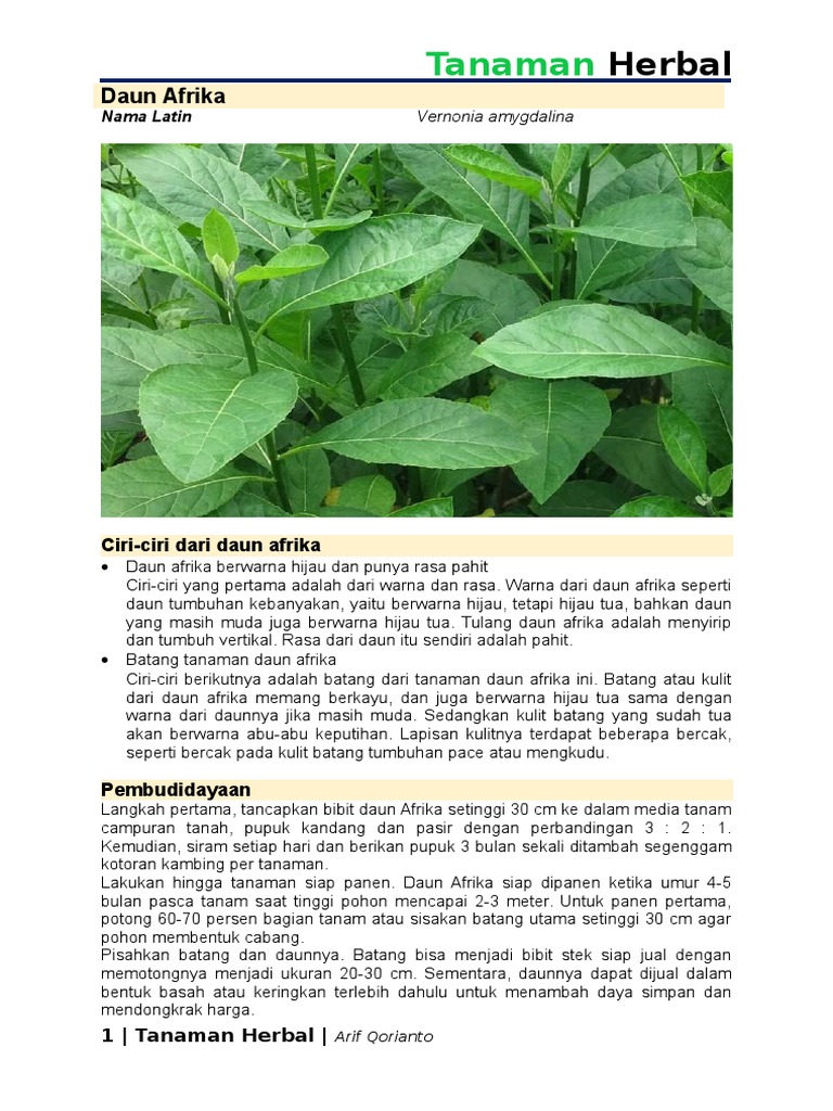 Buku Tanaman Herbal Buku Tanaman Herbal