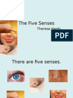 The Five Senses: Theresa Hardy