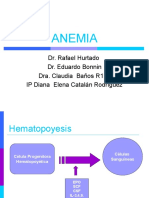 Anemia 2010