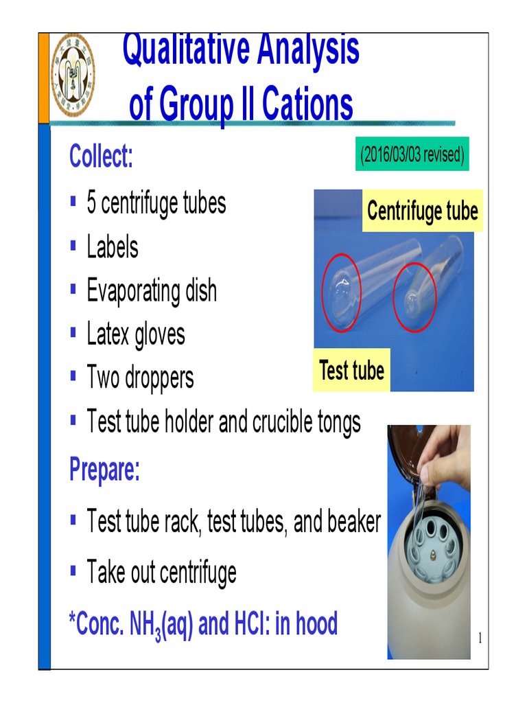 Qualitative Analysis of Cation Group 2 en PDF Metallic Elements Chemistry