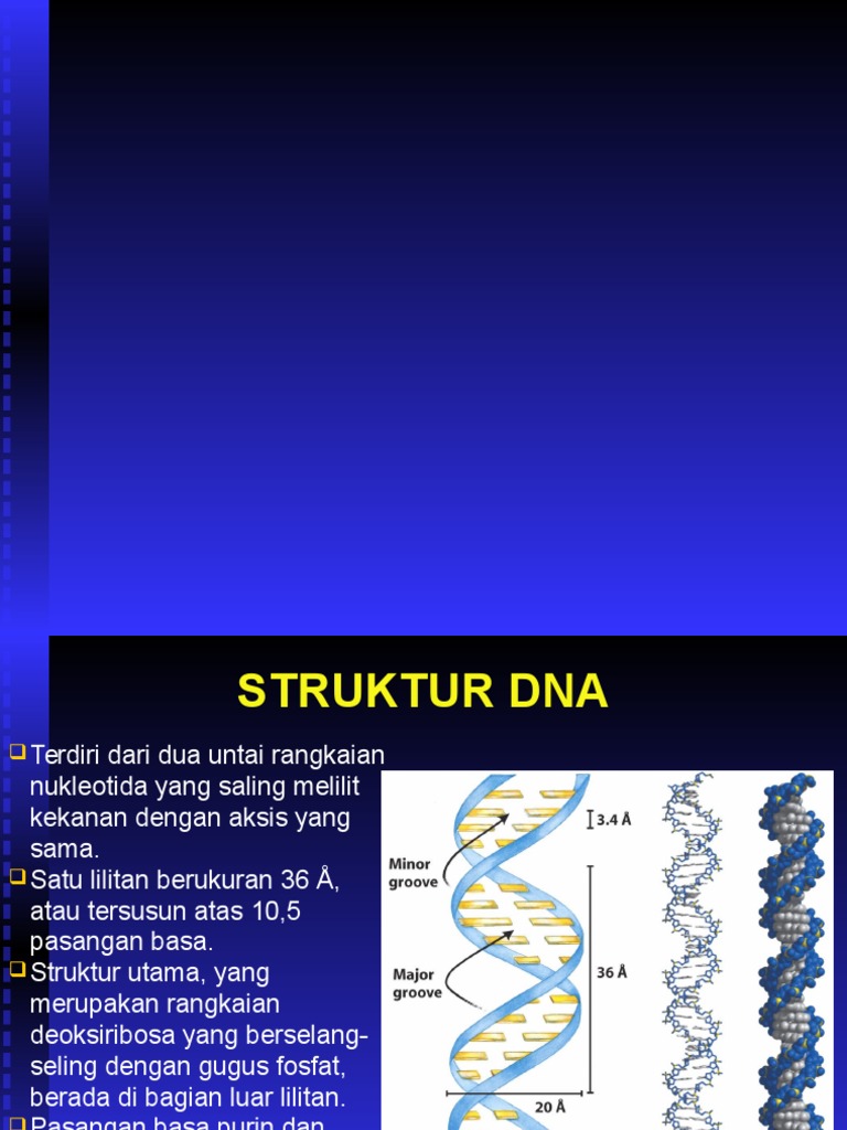 Struktur dan Proses DNA serta RNA | PDF | Kesehatan Holistik | Sains ...