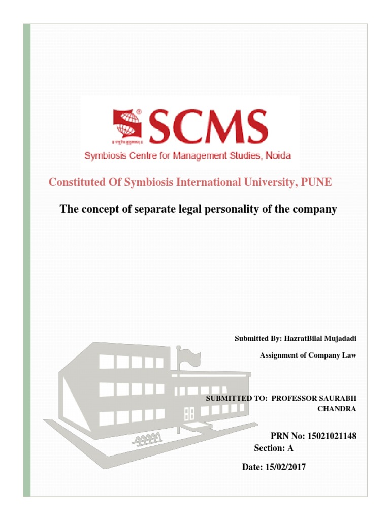 Company law assignment picture