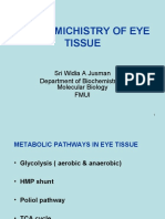 Biochemistry of The Eye