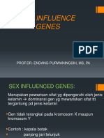 Sex Influence Genes