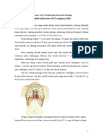 Anatomi Dan Patofisiologi Jantung