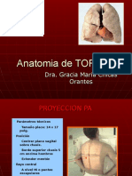 Anatomiadetorax 091207203941 Phpapp02 (1)