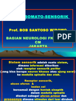 Sistem Somatosensorik - B Wibowo