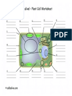 PlantCellModel.pdf