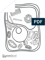 Cell Animal Coloring