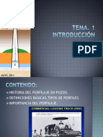 TEMA 1. INTRODUCCIÓN.pdf