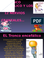 Tronco Encefalico