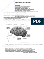 Sindroame de Lobi Cerebrali