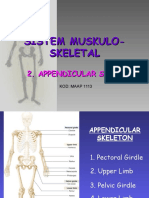 appendicular skeleton 10.ppt