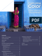 Color Captivating PDF