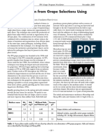 Virus Elimination From Grape Selections Using Tissue Culture