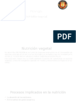 Nutricion Vegetal