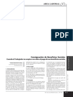 Consignacion Laboral PDF