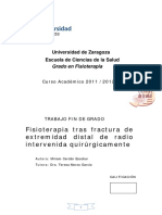 Articulo de Miembro Superior PDF