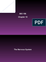 BIO 156 Chapter 10 Powerpoint