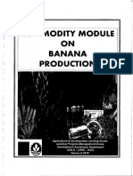 Banana Production PDF
