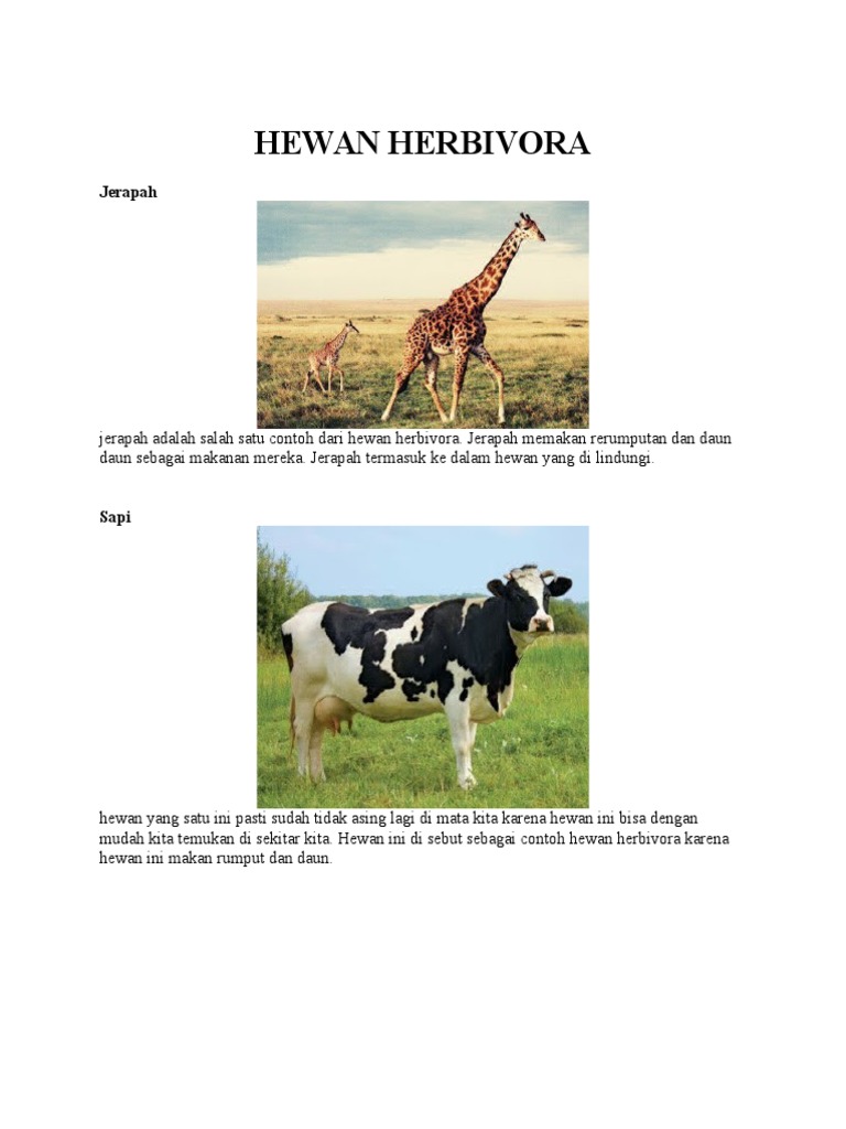 950 Gambar Hewan Yang Termasuk Herbivora HD Terbaru