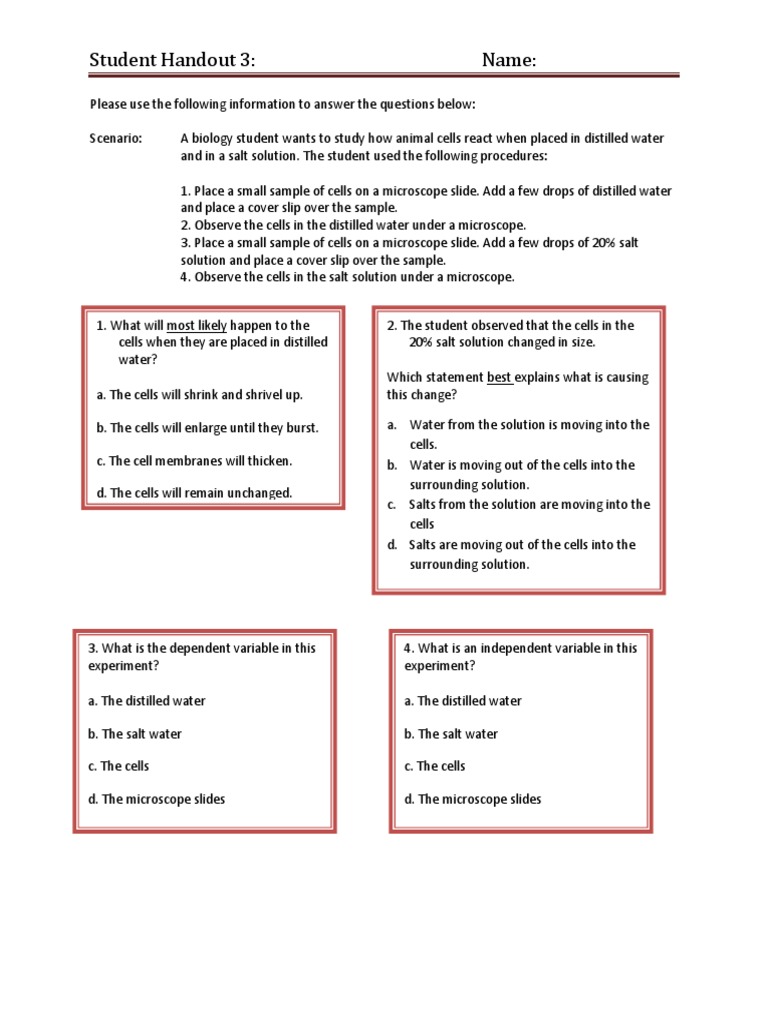 Bio Gummy Handout3 | PDF