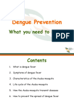 Dengue and Prevention 2.ppt