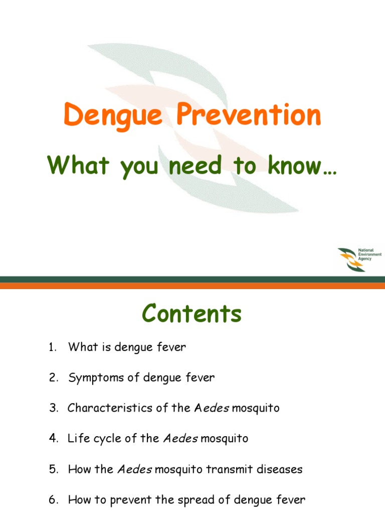 Dengue and Prevention 2 | PDF